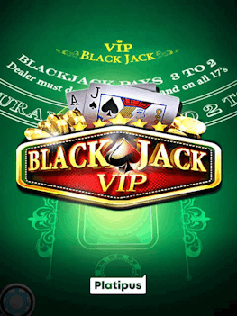 BlackJack Professional Series VIP